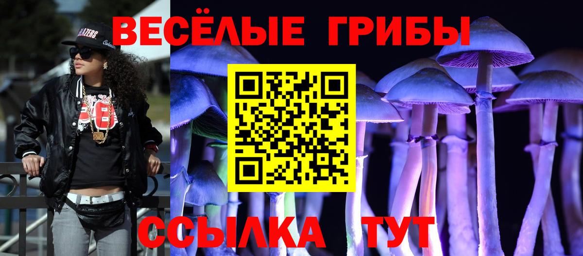 Галлюциногенные грибы Cubensis  Вход с VPN  Галлюциногенные грибы Psilocybine cubensis  Кисловодск 