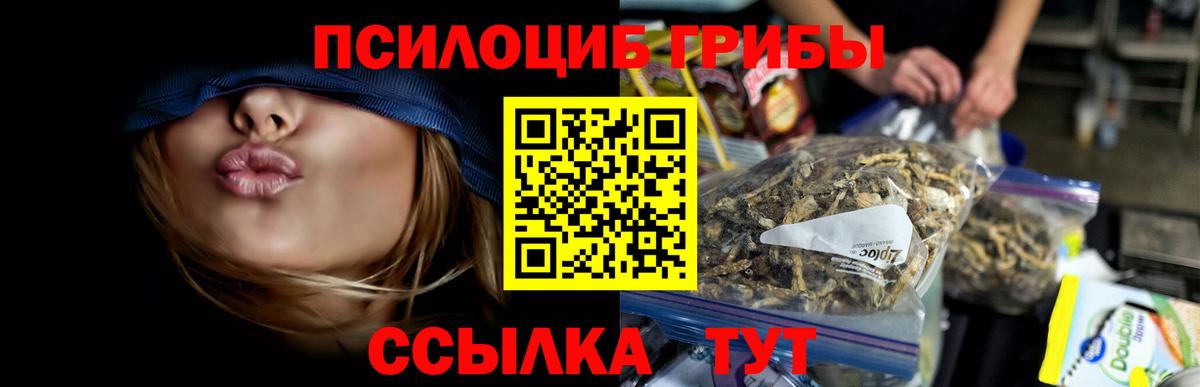Галлюциногенные грибы мицелий Кисловодск
